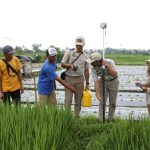 Kementerian ATR/BPN Tegaskan Tidak Ada Program Pemutihan Sertipikat Tanah