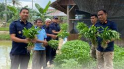 Panen 65 Kilogram Kangkung, Rutan Tanjung Pura Distribusikan Hasil Panen Dukung Penuh Ketahanan Pangan Nasional