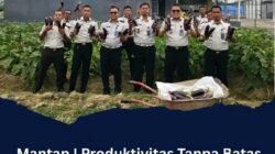 Produktivitas Tanpa Batas: Warga Binaan Lapas Pemuda Langkat Sukses Panen Sayur Terong