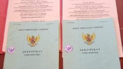 LAPORAN KRONOLOGISALAS HAK TANAH MILIK SDRA. JAMILUN SIHOTANG