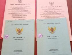 LAPORAN KRONOLOGISALAS HAK TANAH MILIK SDRA. JAMILUN SIHOTANG