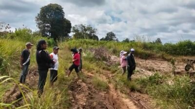 Tanah Pangguruan Milik Jamilun Sihotang Diolah, Alas Hak Diperkuat Putusan PN 2006 dan SHM