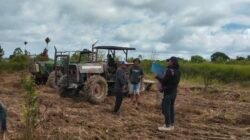 Tanah Pangguruan Milik Jamilun Sihotang Diolah, Alas Hak Diperkuat Putusan PN 2006 dan SHM
