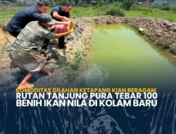 Komoditas Dilahan Ketapang Kian Beragam Rutan Tanjung Pura Tebar 100 Benih Ikan Nila di Kolam Baru