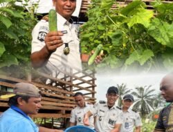 Panen Timun hingga Tebar Bibit Lele, Rutan Tanjung Pura Perkuat Lahan Ketapang Lewat Pengembangan Lahan Ketapang dan Pembinaan Warga Binaan