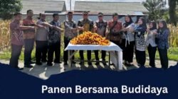 Panen Bersama Budidaya Jagu Pakar Ternak Di sarana Asimilasi Edukasi Lapas Pemuda lll LangkatL