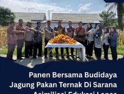 Panen Bersama Budidaya Jagu Pakar Ternak Di sarana Asimilasi Edukasi Lapas Pemuda lll LangkatL