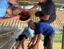 Penaburan Tahap Kedua , Rutan Tanjung Pura Sukses Tabur 2000 Benih Ikan Lele di Lahan Ketahanan Pangan