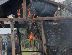 Polres Binjai Bakar Lokasi Diduga Barak Narkoba di Ladang Jagung