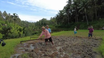 Dua Tahun Kabinet Merah Putih, Kementerian ATR/BPN Catat RDTR Terintegrasi OSS Bertambah Jadi 576 dan Usulan LP2B Lampaui Target RPJMN