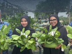 Kembali Panen Sawi Hidroponik Wujud Nyata Pembinaan Kemandirian Warga Binaan Rutan Tanjung Pura Dilahan SAE
